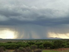 Südliches Afrika, Namibia, Kalahari: Starker Regenschauer 