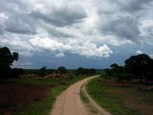 Südliches Afrika, Zambia, Kalahari: Auf Sandpisten durch Zambia